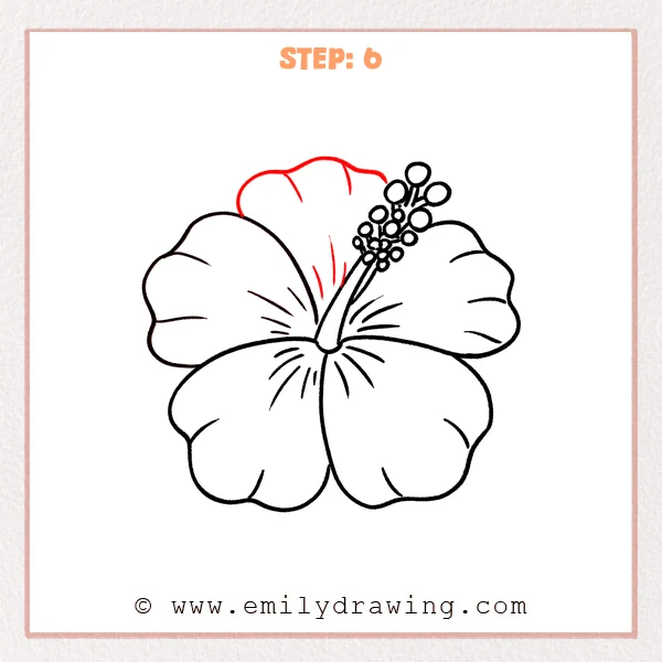 how to draw a hawaiian flower - Step 6 of how to draw a hawaiian flower—a back top petal is added behind the others, with a few short curved fold lines radiating from the center.